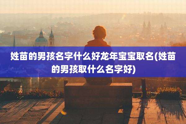 姓苗的男孩名字什么好龙年宝宝取名(姓苗的男孩取什么名字好)