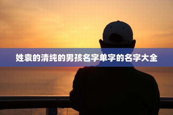 姓袁的清纯的男孩名字单字的名字大全