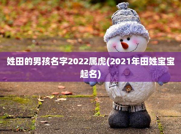 姓田的男孩名字2022属虎(2021年田姓宝宝起名)