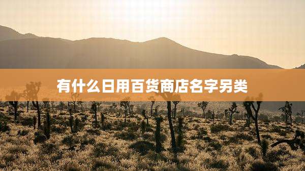 有什么日用百货商店名字另类