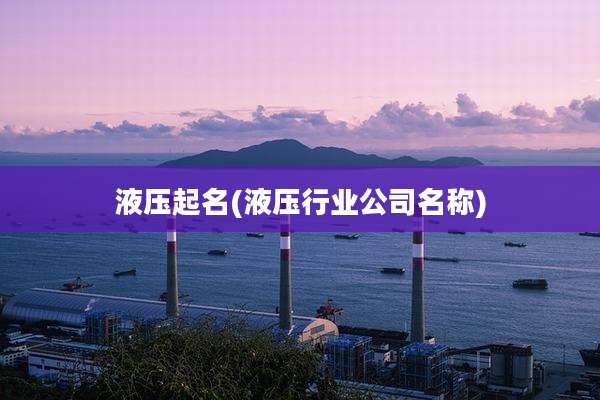 液压起名(液压行业公司名称)