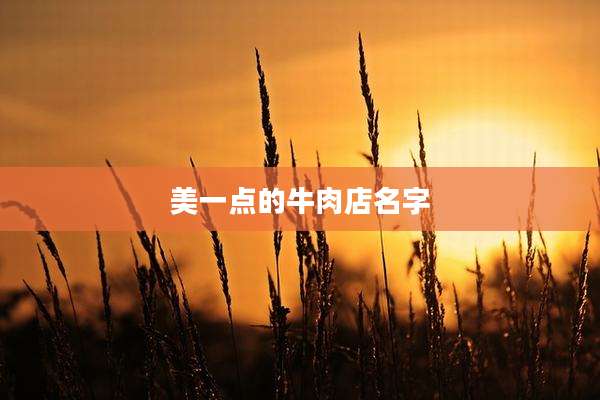 美一点的牛肉店名字