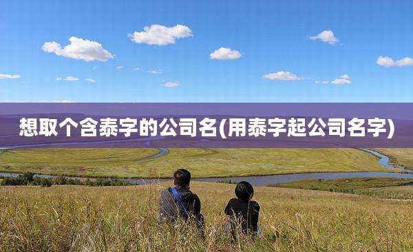 想取个含泰字的公司名(用泰字起公司名字)