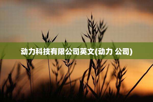 动力科技有限公司英文(动力 公司)