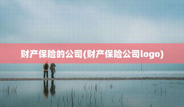 财产保险的公司(财产保险公司logo)