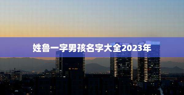 姓鲁一字男孩名字大全2023年