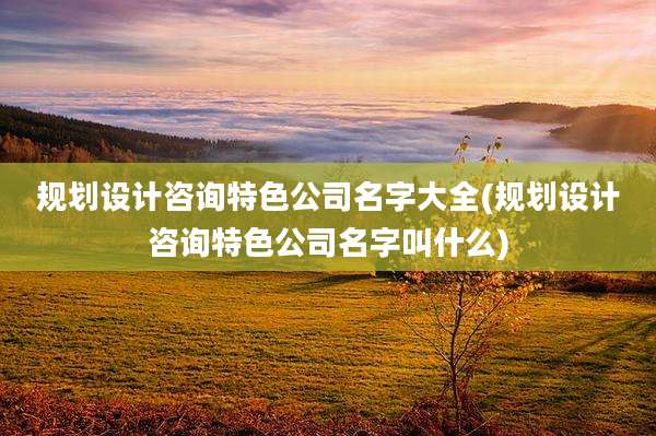 规划设计咨询特色公司名字大全(规划设计咨询特色公司名字叫什么)