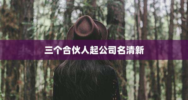 三个合伙人起公司名清新
