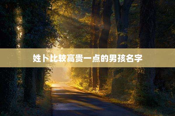 姓卜比较高贵一点的男孩名字