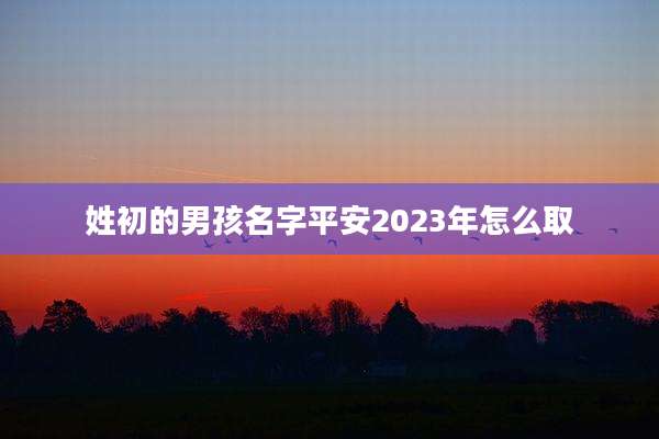 姓初的男孩名字平安2023年怎么取