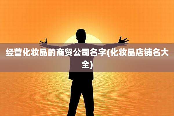 经营化妆品的商贸公司名字(化妆品店铺名大全)