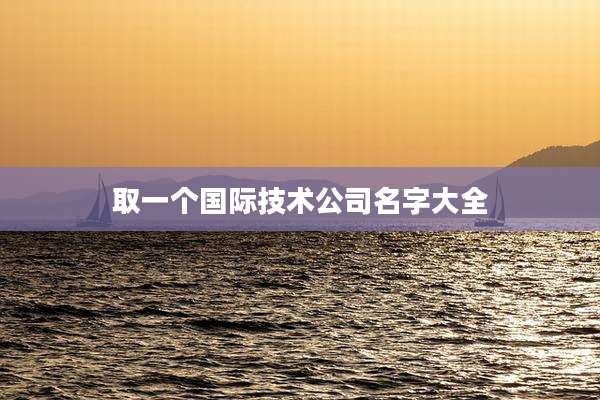 取一个国际技术公司名字大全