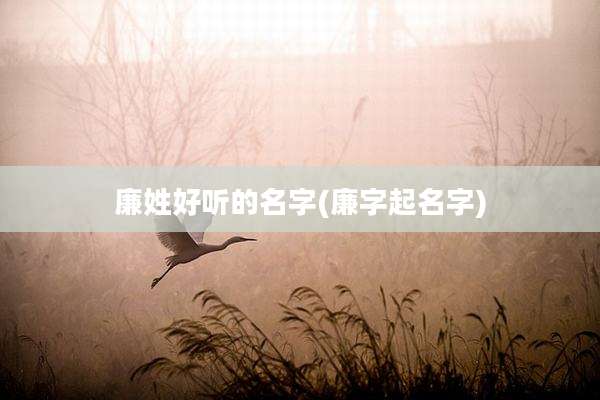 廉姓好听的名字(廉字起名字)