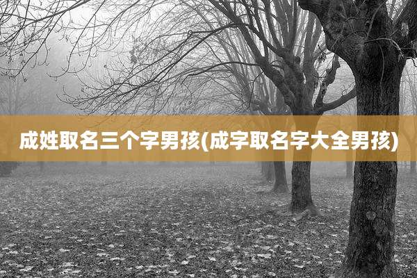 成姓取名三个字男孩(成字取名字大全男孩)