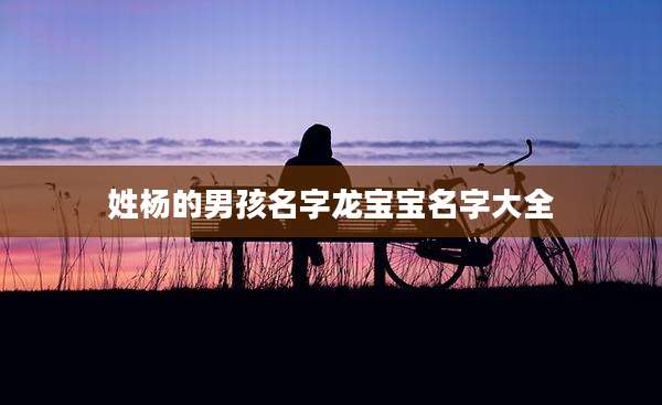 姓杨的男孩名字龙宝宝名字大全
