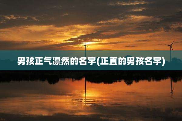 男孩正气凛然的名字(正直的男孩名字)