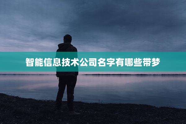 智能信息技术公司名字有哪些带梦