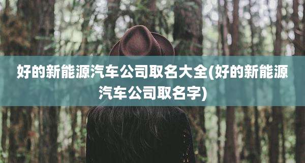 好的新能源汽车公司取名大全(好的新能源汽车公司取名字)