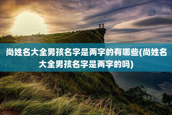 尚姓名大全男孩名字是两字的有哪些(尚姓名大全男孩名字是两字的吗)