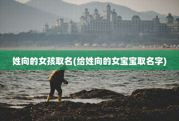 姓向的女孩取名(给姓向的女宝宝取名字)