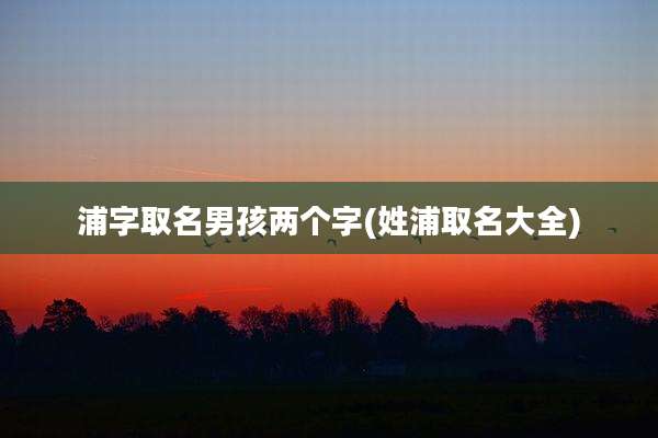 浦字取名男孩两个字(姓浦取名大全)