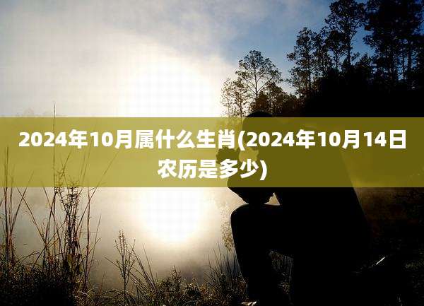 2024年10月属什么生肖(2024年10月14日农历是多少)
