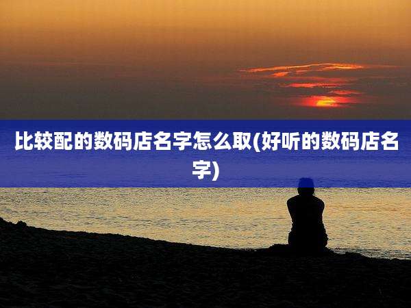 比较配的数码店名字怎么取(好听的数码店名字)