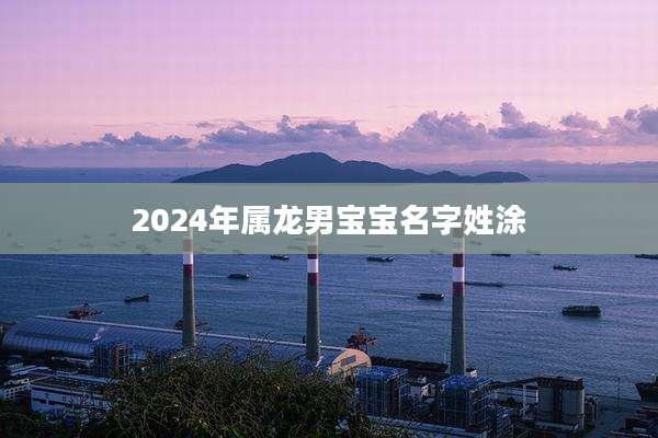 2024年属龙男宝宝名字姓涂