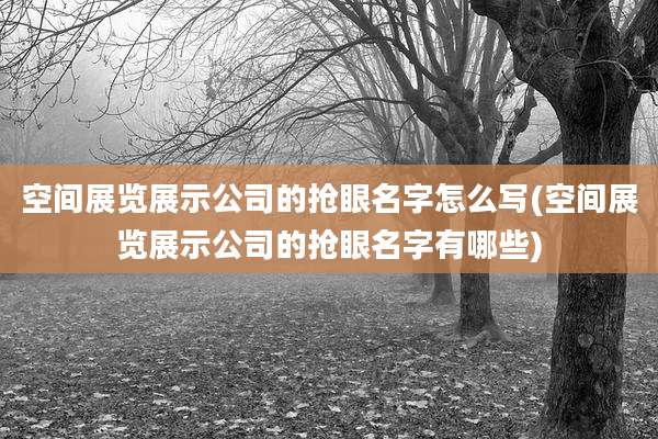 空间展览展示公司的抢眼名字怎么写(空间展览展示公司的抢眼名字有哪些)