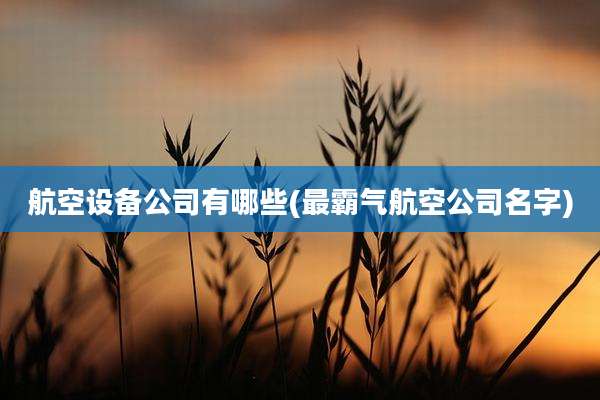 航空设备公司有哪些(最霸气航空公司名字)