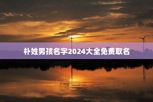 朴姓男孩名字2024大全免费取名