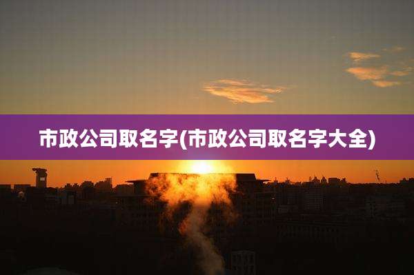 市政公司取名字(市政公司取名字大全)