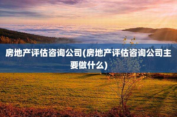 房地产评估咨询公司(房地产评估咨询公司主要做什么)