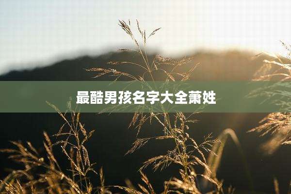 最酷男孩名字大全萧姓