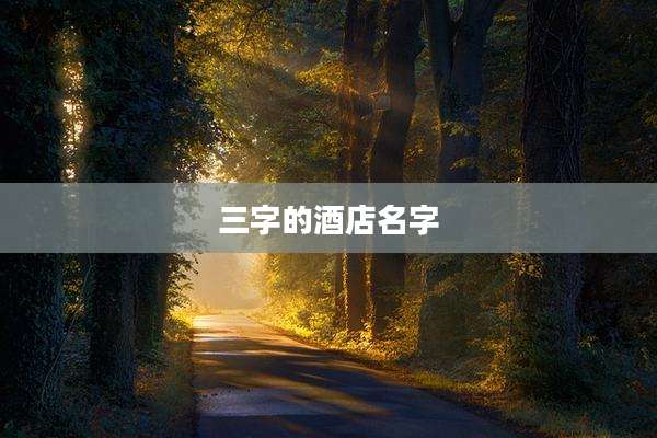 三字的酒店名字