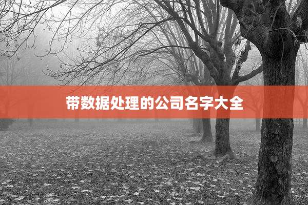 带数据处理的公司名字大全