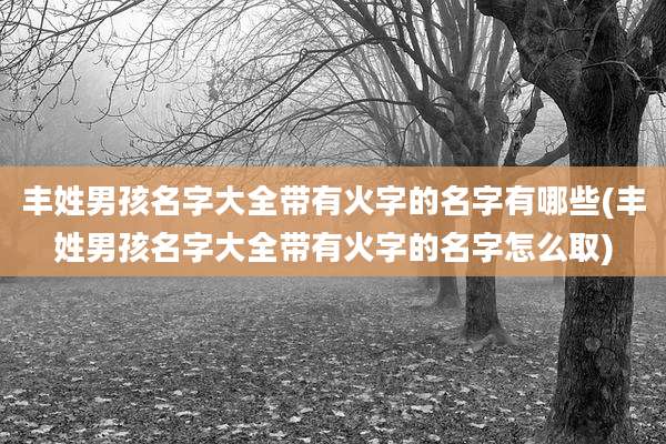 丰姓男孩名字大全带有火字的名字有哪些(丰姓男孩名字大全带有火字的名字怎么取)