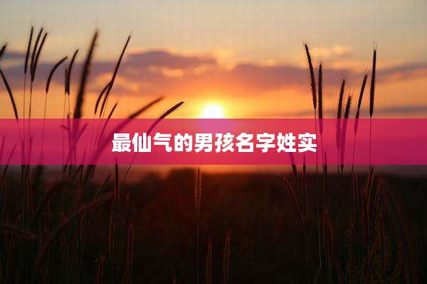 最仙气的男孩名字姓实