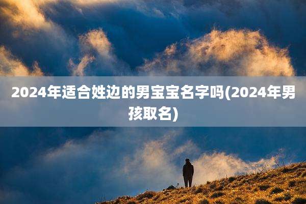 2024年适合姓边的男宝宝名字吗(2024年男孩取名)