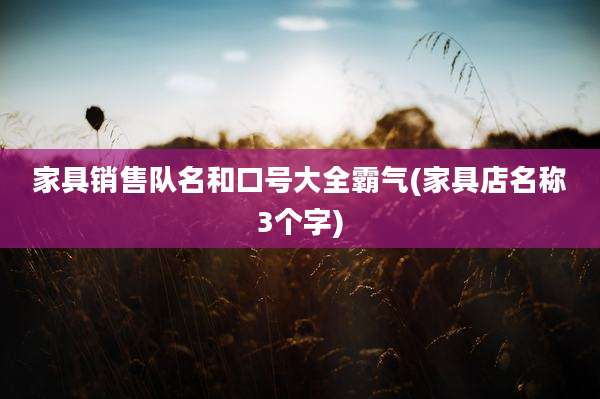 家具销售队名和口号大全霸气(家具店名称3个字)