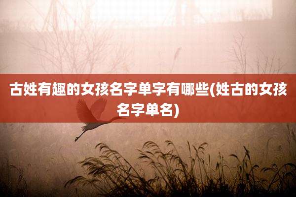 古姓有趣的女孩名字单字有哪些(姓古的女孩名字单名)