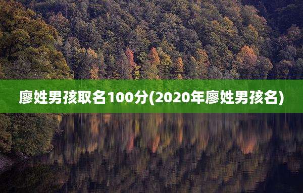 廖姓男孩取名100分(2020年廖姓男孩名)