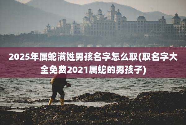 2025年属蛇满姓男孩名字怎么取(取名字大全免费2021属蛇的男孩子)