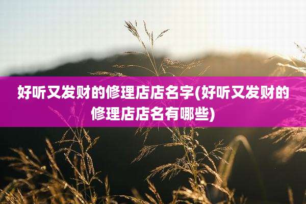 好听又发财的修理店店名字(好听又发财的修理店店名有哪些)