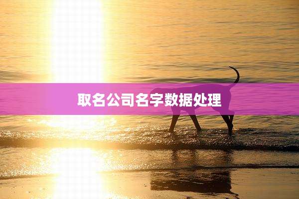 取名公司名字数据处理