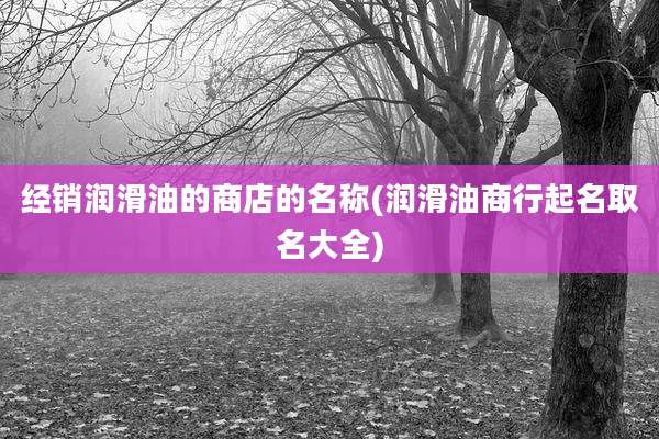 经销润滑油的商店的名称(润滑油商行起名取名大全)