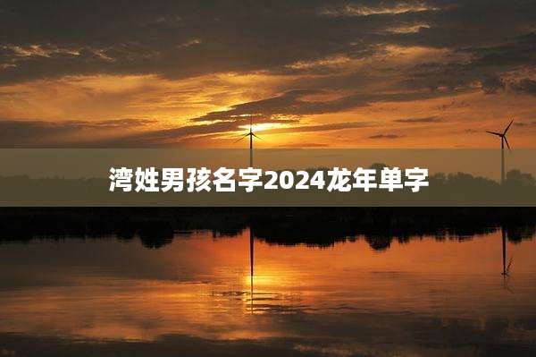湾姓男孩名字2024龙年单字