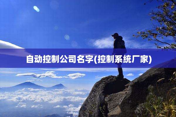 自动控制公司名字(控制系统厂家)