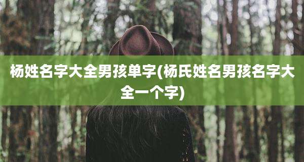 杨姓名字大全男孩单字(杨氏姓名男孩名字大全一个字)