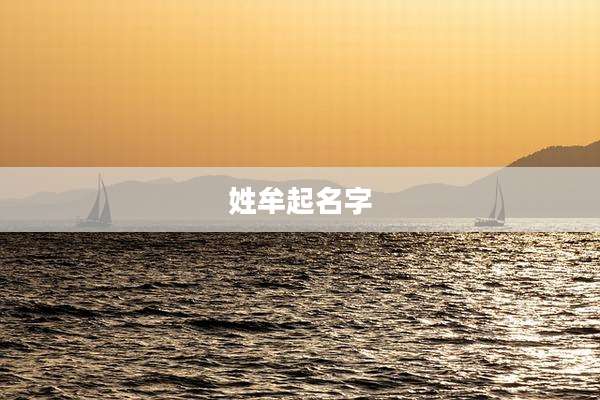 姓牟起名字